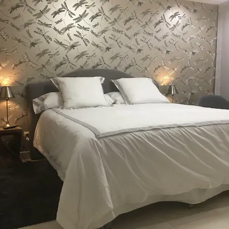 Apartment Centro Vtv *